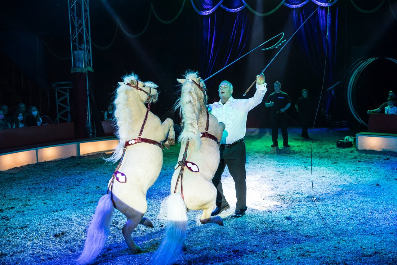 Bild 393 - Zirkus Europa